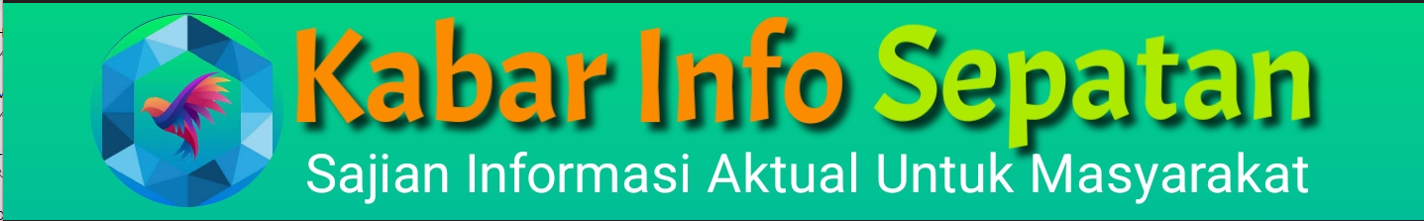 Jasa Pembuatan Website murah